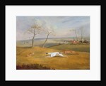 Coursing: the chase by Samuel Alken