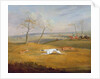 Coursing: the chase by Samuel Alken