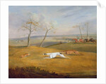 Coursing: the chase by Samuel Alken