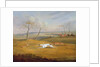 Coursing: the chase by Samuel Alken