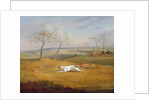 Coursing: the chase by Samuel Alken