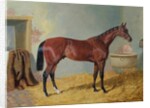 Mr S. Wrather's 'Nutwith' in a stable by John Frederick Herring Snr