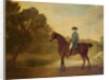 A gentleman on a bay hunter, 1771 by George Stubbs