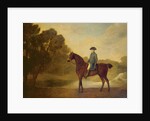 A gentleman on a bay hunter, 1771 by George Stubbs