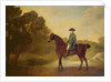 A gentleman on a bay hunter, 1771 by George Stubbs