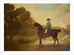 A gentleman on a bay hunter, 1771 by George Stubbs