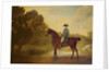 A gentleman on a bay hunter, 1771 by George Stubbs