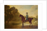 A gentleman on a bay hunter, 1771 by George Stubbs