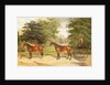 Two horses, harnessed in tandem, pulling a carriage, 1883 by Benjamin Cam Norton