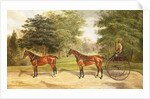 Two horses, harnessed in tandem, pulling a carriage, 1883 by Benjamin Cam Norton