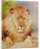Lion by William Huggins