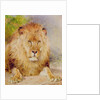 Lion by William Huggins
