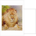 Lion by William Huggins
