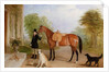 A Groom with a Horse by John E. Ferneley
