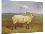 A Prize Ewe with monogram 'H', belonging to Mr J.A. Houblon, Hallingbury Place, Essex, 1812 by Abraham Cooper