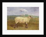 A Prize Ewe with monogram 'H', belonging to Mr J.A. Houblon, Hallingbury Place, Essex, 1812 by Abraham Cooper