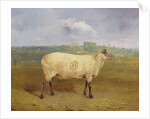 A Prize Ewe with monogram 'H', belonging to Mr J.A. Houblon, Hallingbury Place, Essex, 1812 by Abraham Cooper
