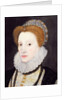 Portrait of a Woman, 1576 by George Gower