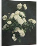Still Life of White Peonies, 1870 by Ignace Henri Jean Fantin-Latour
