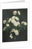 Still Life of White Peonies, 1870 by Ignace Henri Jean Fantin-Latour
