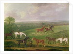 Horses at Exercise by J. Francis Sartorius