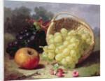 Still Life with Fruit, 1873 by Eloise Harriet Stannard