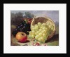 Still Life with Fruit, 1873 by Eloise Harriet Stannard