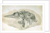 Young Ichthyosaurus from Lyme Regis by English School