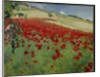 Landscape with Poppies, 1887 by William Blair Bruce