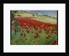 Landscape with Poppies, 1887 by William Blair Bruce