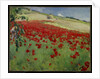 Landscape with Poppies, 1887 by William Blair Bruce