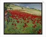 Landscape with Poppies, 1887 by William Blair Bruce