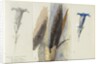 Study of a Feather, Flanked by Two Studies of a Gentian, 1875 by John Ruskin
