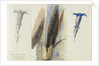 Study of a Feather, Flanked by Two Studies of a Gentian, 1875 by John Ruskin