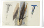 Study of a Feather, Flanked by Two Studies of a Gentian, 1875 by John Ruskin