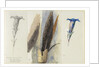 Study of a Feather, Flanked by Two Studies of a Gentian, 1875 by John Ruskin