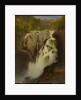 Falls of Ste. Anne, Quebec, 1865 by Otto Reinhold Jacobi