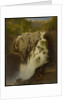 Falls of Ste. Anne, Quebec, 1865 by Otto Reinhold Jacobi