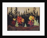 Black Spruce and Maple, 1915 by Thomas John Thomson