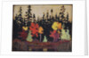 Black Spruce and Maple, 1915 by Thomas John Thomson