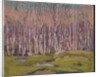 Silver Birches, c.1915 by Thomas John Thomson