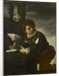 Boy with a Dove, c.1650-55 by Pier Francesco Mola