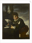 Boy with a Dove, c.1650-55 by Pier Francesco Mola