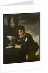 Boy with a Dove, c.1650-55 by Pier Francesco Mola
