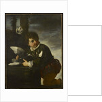 Boy with a Dove, c.1650-55 by Pier Francesco Mola