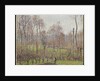 Poplars, Grey Weather, Eragny, 1895 by Camille Pissarro