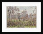 Poplars, Grey Weather, Eragny, 1895 by Camille Pissarro