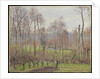 Poplars, Grey Weather, Eragny, 1895 by Camille Pissarro