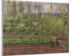 Springtime, Grey Weather, Eragny, 1895 by Camille Pissarro