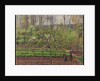 Springtime, Grey Weather, Eragny, 1895 by Camille Pissarro